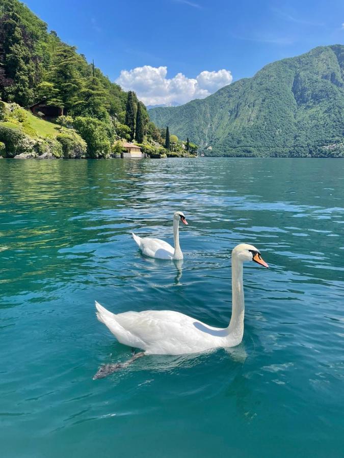Acquaseria Casacamelia 35, 3 Bdrm With View Lake Como 아파트 외부 사진